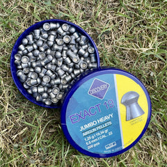 Discovery Pellets .22 Cal – 19 Grain | Precision Hunting
